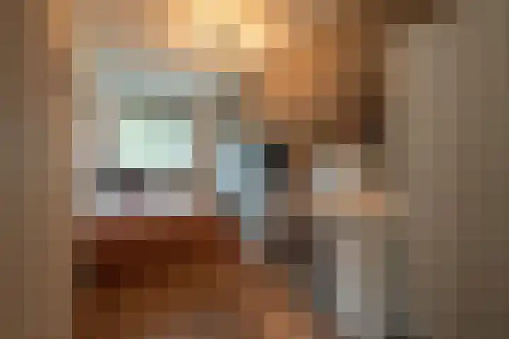 Buitensingel 36 Sappemeer thumbnail 35