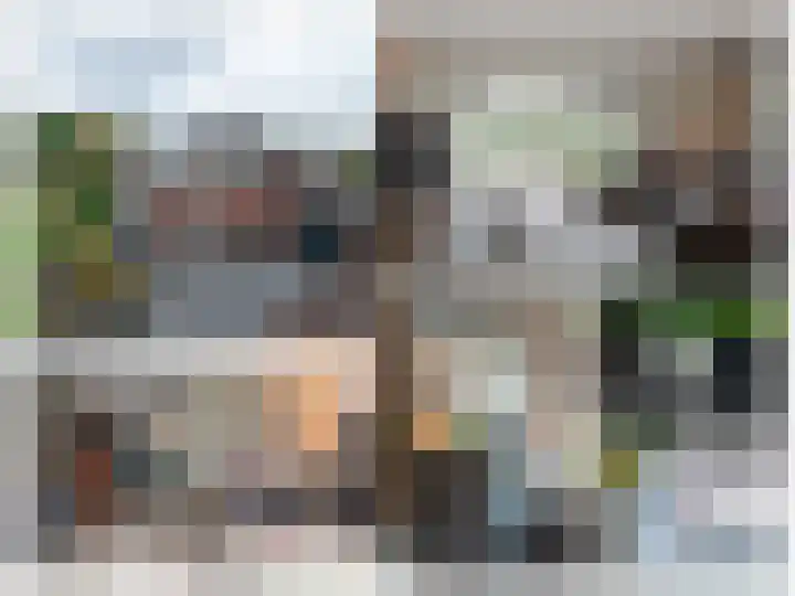 Buitensingel 36 Sappemeer thumbnail 51