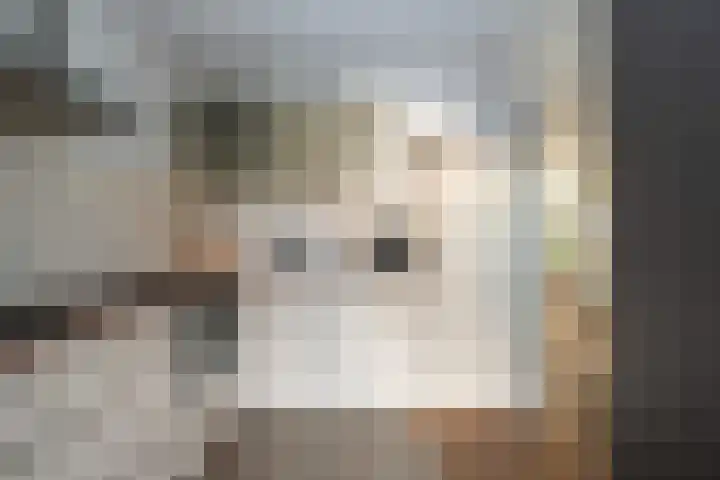 Buitensingel 40 Sappemeer thumbnail 11