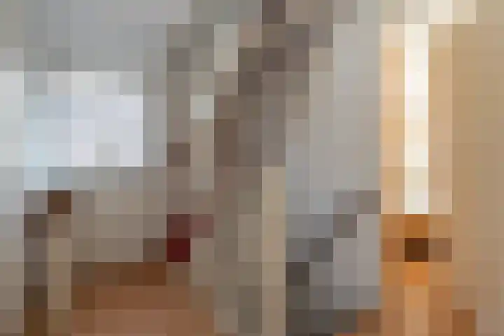 Buitensingel 40 Sappemeer thumbnail 15