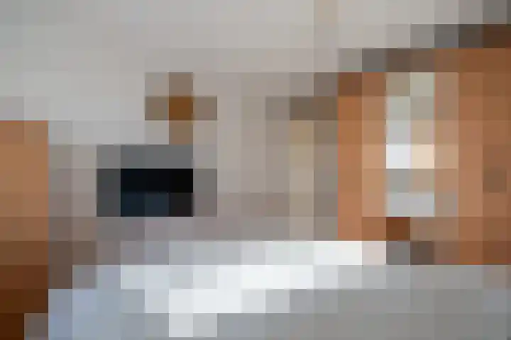 Buitensingel 40 Sappemeer thumbnail 18