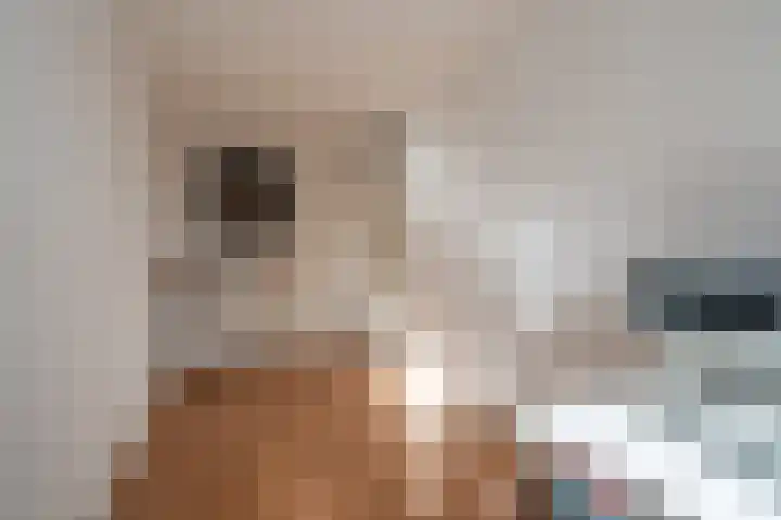 Buitensingel 40 Sappemeer thumbnail 20