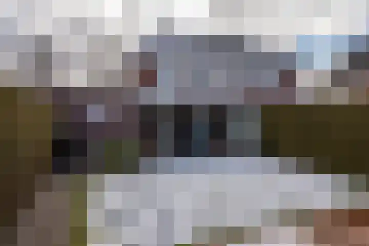 Buitensingel 40 Sappemeer thumbnail 36