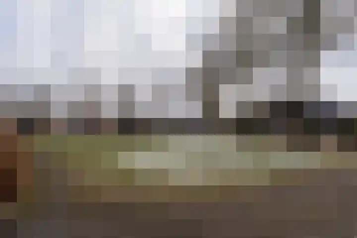 Buitensingel 40 Sappemeer thumbnail 40