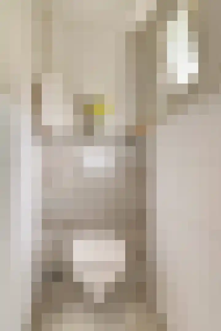 Buitensingel 42 Ellecom thumbnail 11