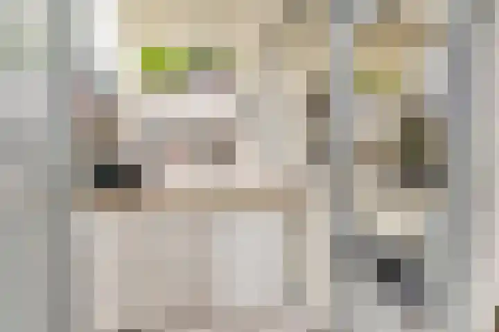 Buitensingel 42 Ellecom thumbnail 12