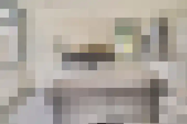 Buitensingel 42 Ellecom thumbnail 14