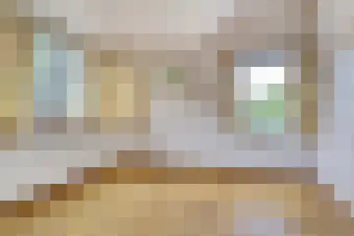 Buitensingel 42 Ellecom thumbnail 17