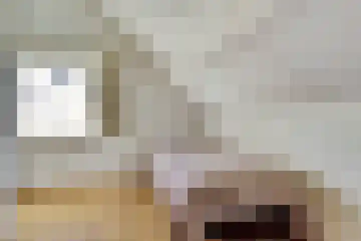 Buitensingel 42 Ellecom thumbnail 19