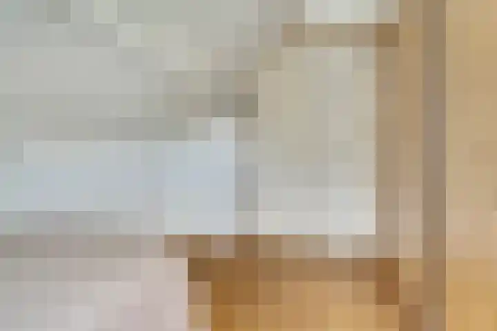 Buitensingel 42 Ellecom thumbnail 20