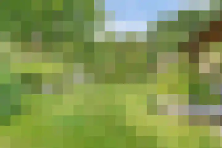 Buitensingel 42 Ellecom thumbnail 22