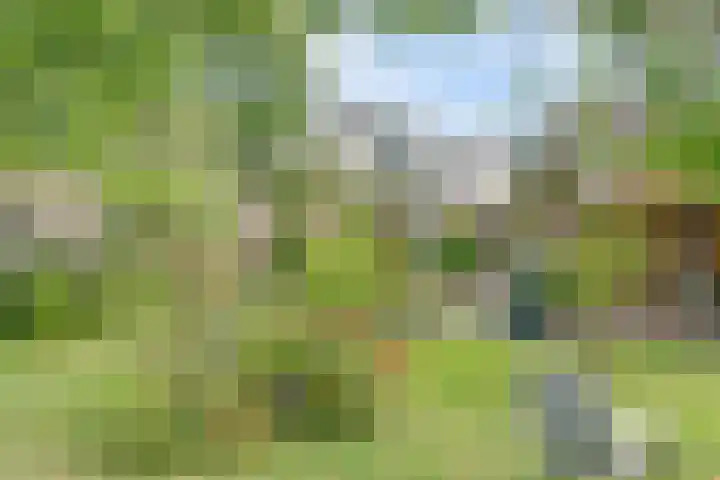 Buitensingel 42 Ellecom thumbnail 24