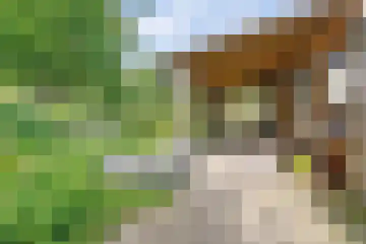 Buitensingel 42 Ellecom thumbnail 25