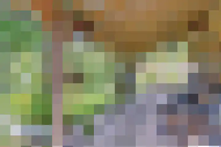 Buitensingel 42 Ellecom thumbnail 26