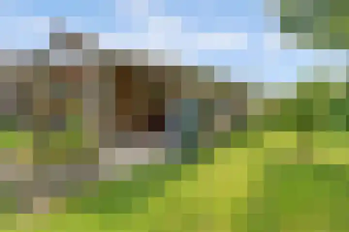 Buitensingel 42 Ellecom thumbnail 27