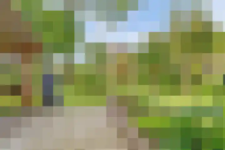Buitensingel 42 Ellecom thumbnail 28