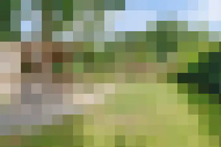 Buitensingel 42 Ellecom thumbnail 29