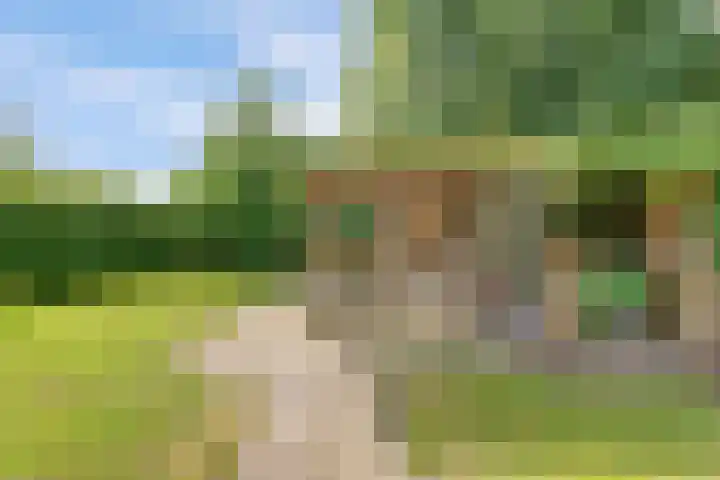 Buitensingel 42 Ellecom thumbnail 30