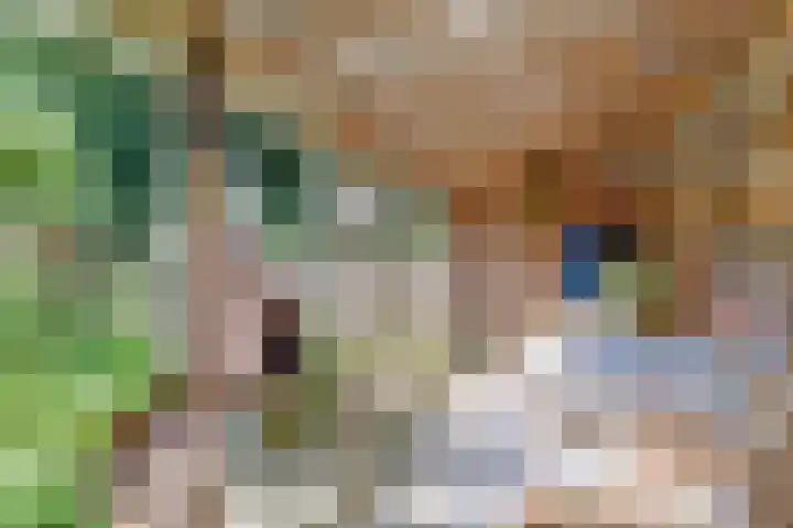 Buitensingel 42 Ellecom thumbnail 31