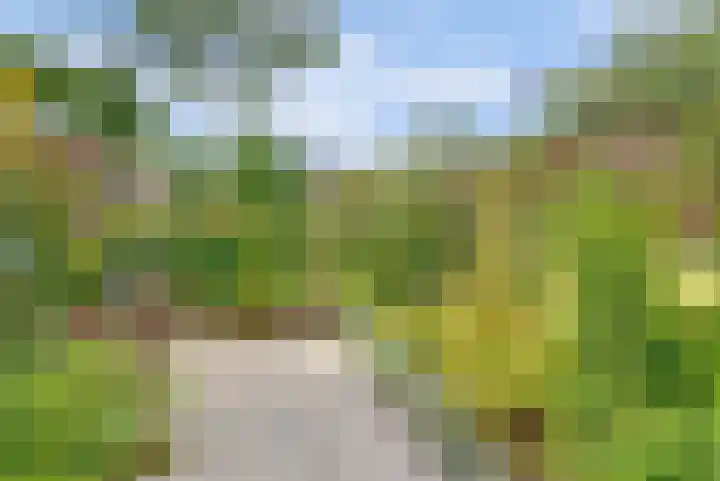 Buitensingel 42 Ellecom thumbnail 32