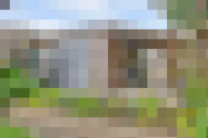 Buitensingel 42 Ellecom thumbnail 34