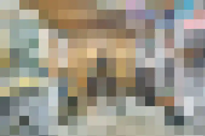 Buitensingel 42 Ellecom thumbnail 35