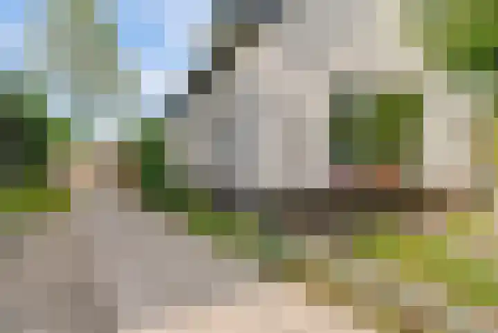 Buitensingel 42 Ellecom thumbnail 36