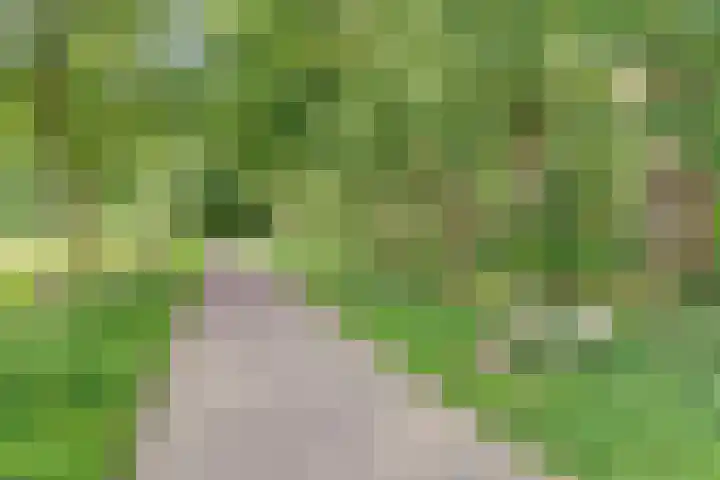 Buitensingel 42 Ellecom thumbnail 37