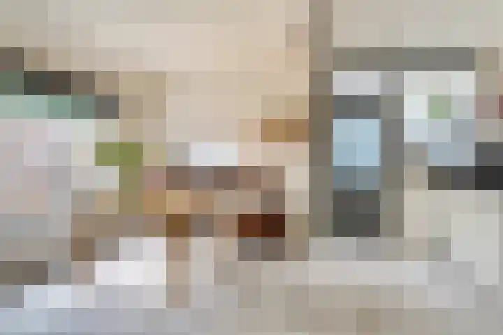 Buitensingel 42 Ellecom thumbnail 6