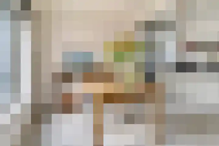 Buitensingel 42 Ellecom thumbnail 7