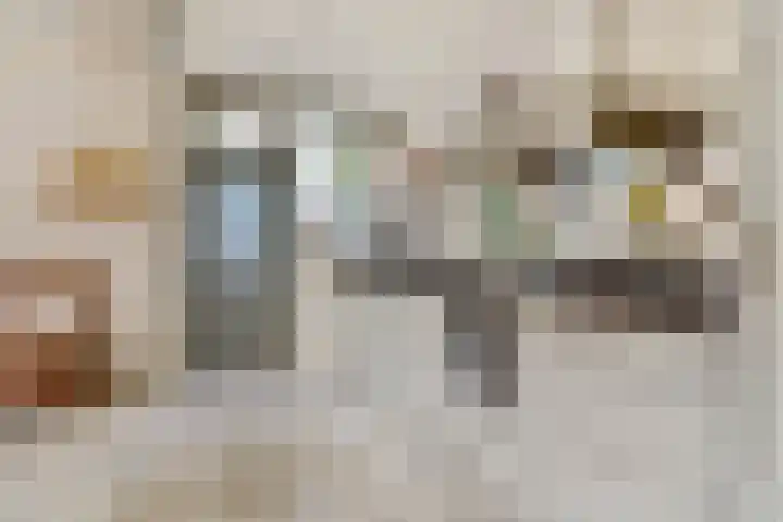 Buitensingel 42 Ellecom thumbnail 8
