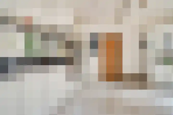 Buitensingel 42 Ellecom thumbnail 9