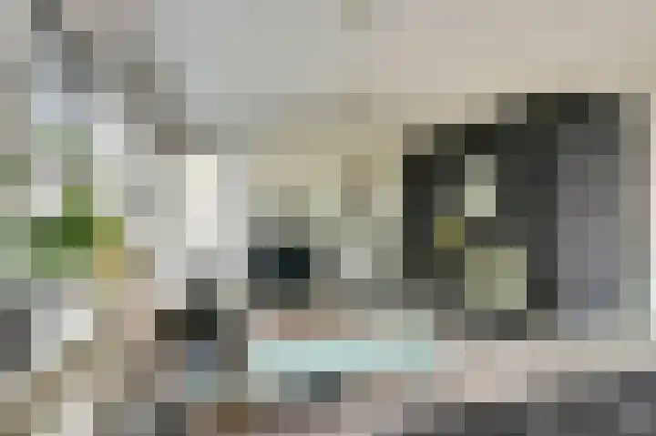 Buitensingel 54 Sappemeer thumbnail 10