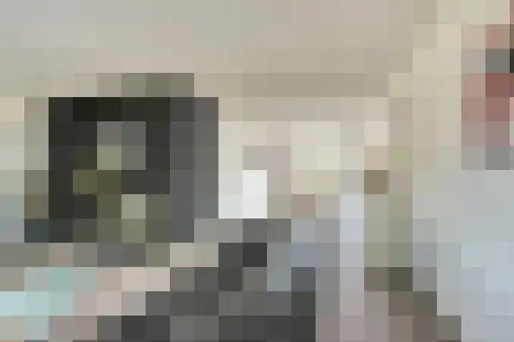 Buitensingel 54 Sappemeer thumbnail 11