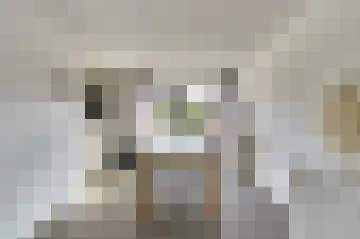 Buitensingel 54 Sappemeer thumbnail 13