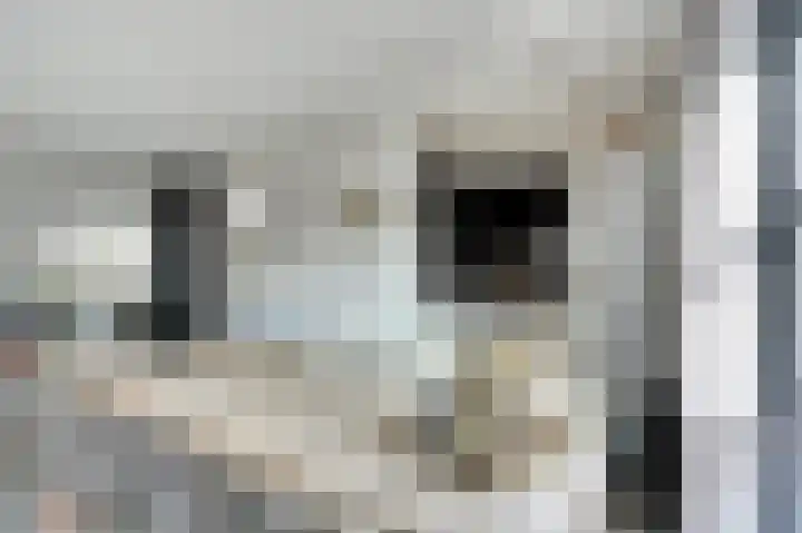 Buitensingel 54 Sappemeer thumbnail 15