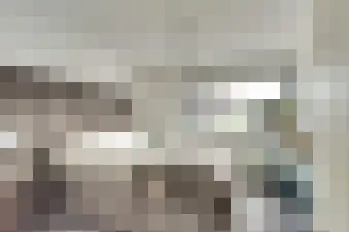 Buitensingel 54 Sappemeer thumbnail 24