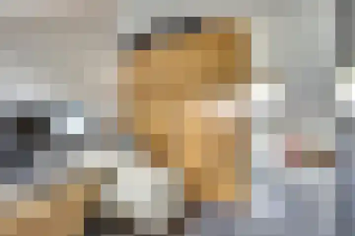 Buitensingel 54 Sappemeer thumbnail 28