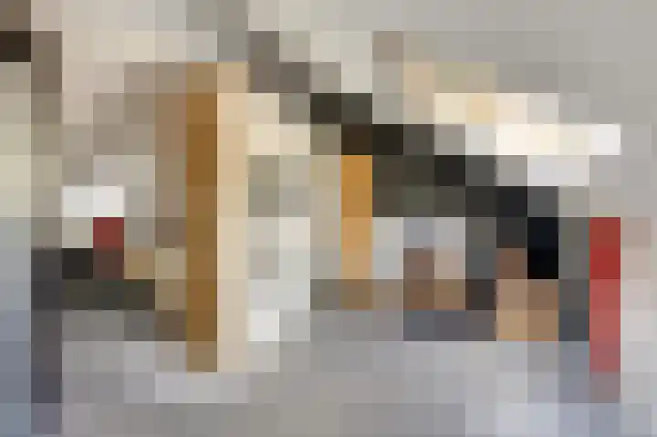 Buitensingel 54 Sappemeer thumbnail 29