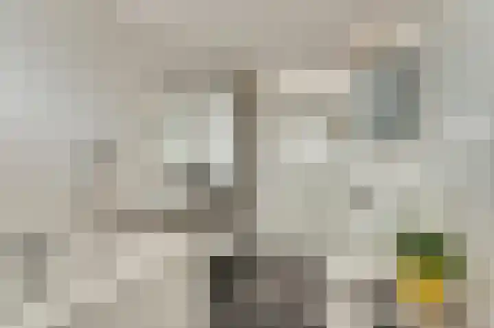 Buitensingel 54 Sappemeer thumbnail 30
