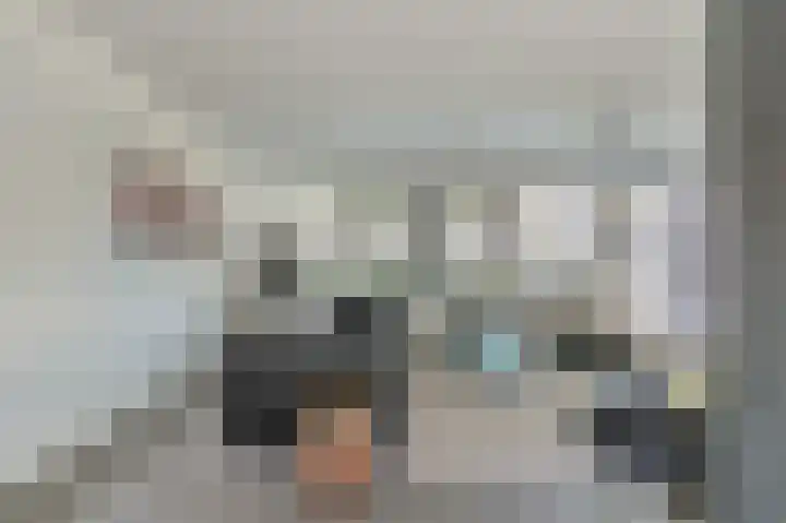 Buitensingel 54 Sappemeer thumbnail 5
