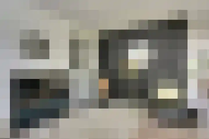 Buitensingel 54 Sappemeer thumbnail 8