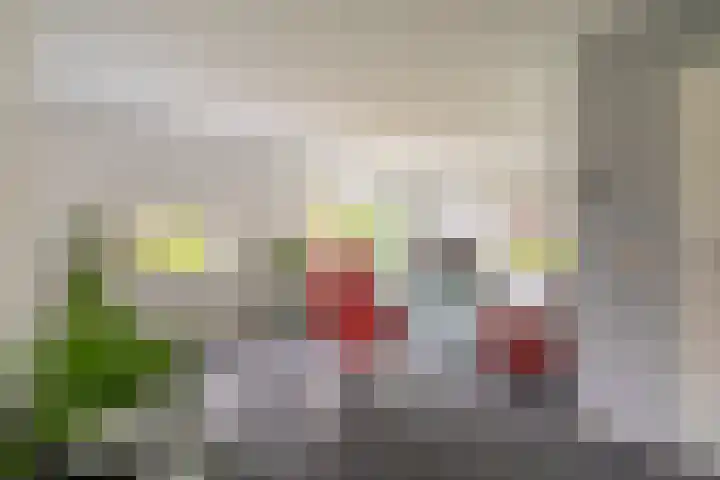 Buitensingel 79 Sappemeer thumbnail 17