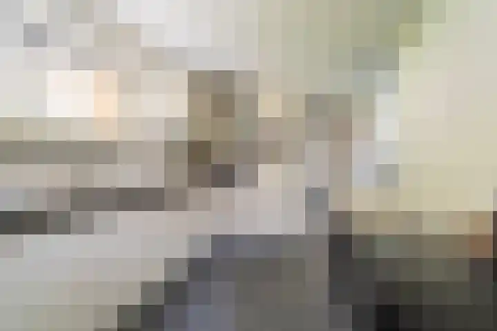 Buitensingel 79 Sappemeer thumbnail 39