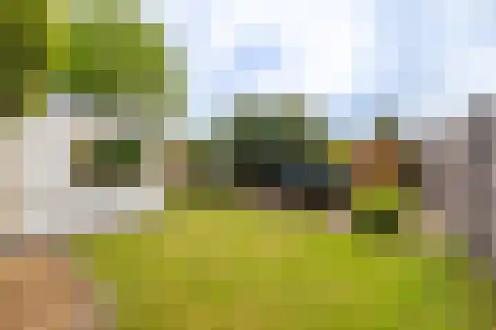 Buitensingel 79 Sappemeer thumbnail 4