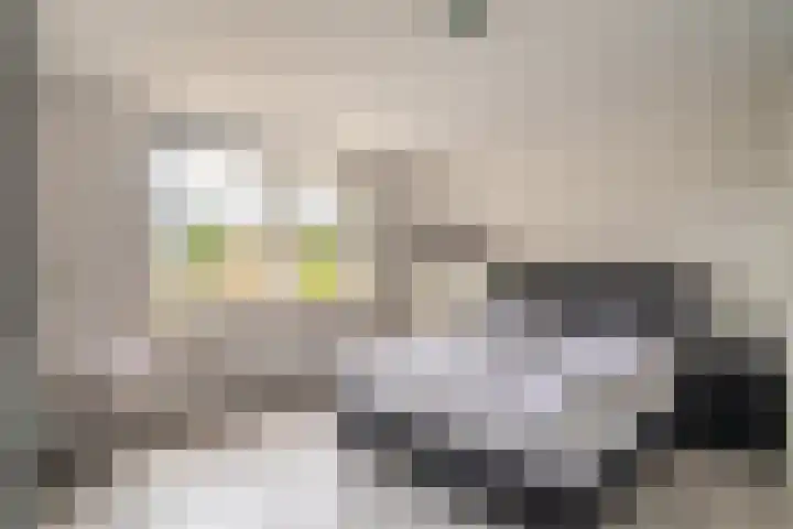Buitensingel 79 Sappemeer thumbnail 42