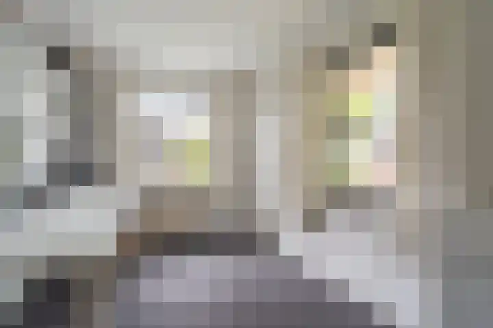 Buitensingel 79 Sappemeer thumbnail 54