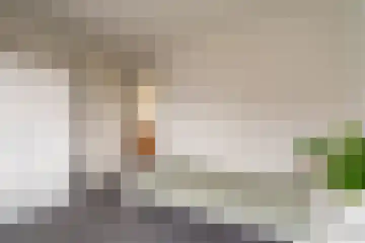 Buitensingel 79 Sappemeer thumbnail 57