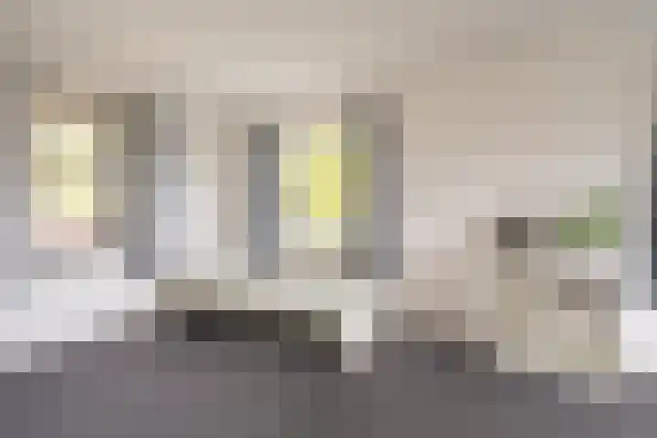 Buitensingel 79 Sappemeer thumbnail 59