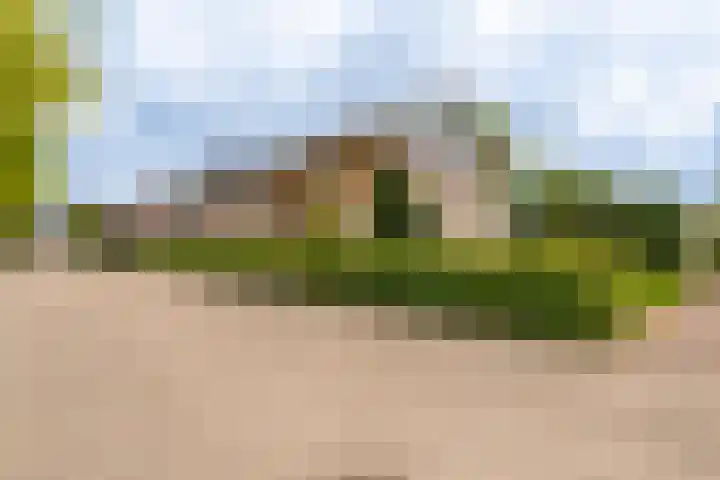 Buitensingel 79 Sappemeer thumbnail 6